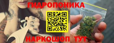 a pvp Свободный
