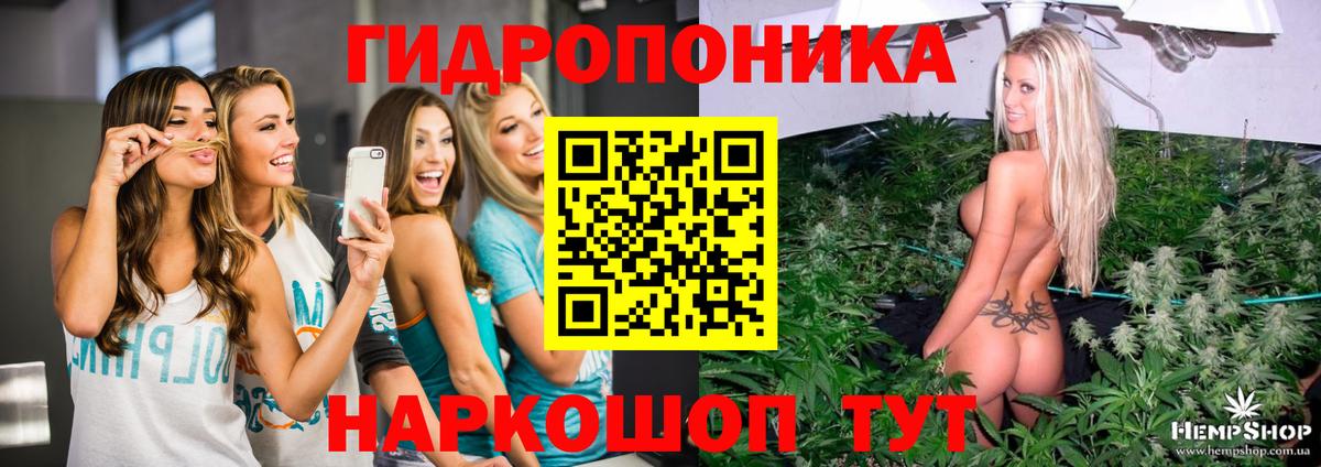 Шишки марихуана конопля Оренбург